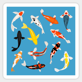 Colorful Koi Fish Sticker